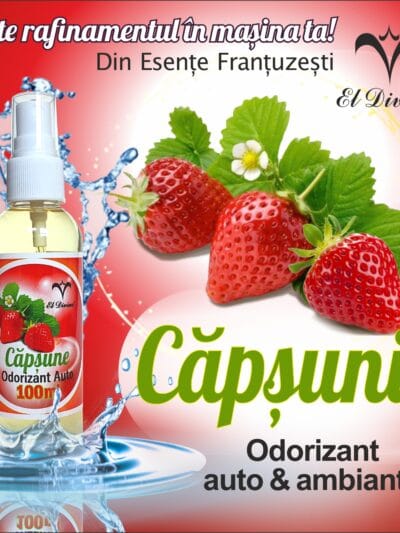 Odorizant auto concentrat 100 ml – Capsuni