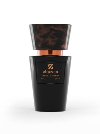 Your Journey - Parfum pentru bărbați COD 113M